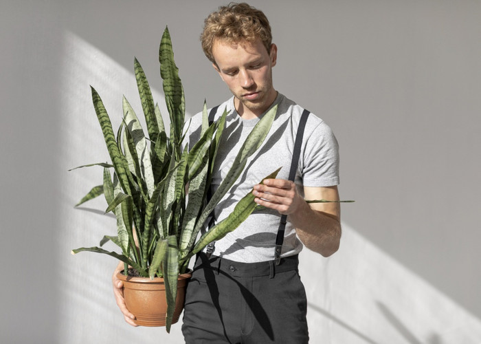 男性模型持有植物前面视图图片