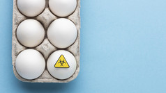 转基因生物化学修改食物鸡蛋