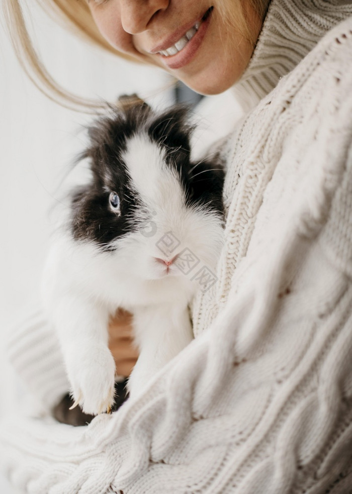 女人爱抚的兔子图片