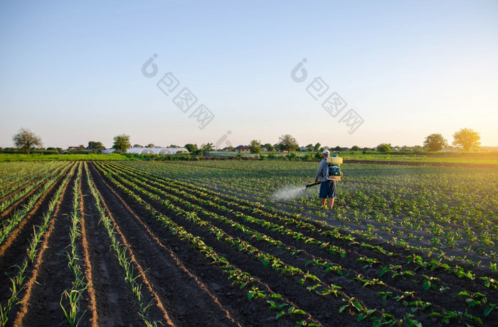 农民喷雾农药的种植园电阻的作物害虫化学行业农业农业保护培养植物从昆虫和真菌感染