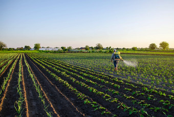农民喷雾土豆种植园与喷雾器有效的作物保护培养植物对昆虫和真菌化学治疗雾喷雾器杀真菌剂和农药工作场