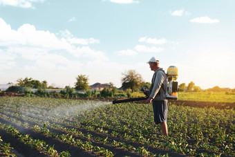农民喷雾农药种植园使用化学物质为保护植物从昆虫和真菌感染农场工作场农药和杀真菌剂农业和农业行业