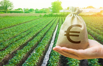 欧元钱袋和土豆场<strong>贷款贷款</strong>和补贴农民表面灌溉作物欧洲农业农业奖助金金融支持支付土地税利润补偿