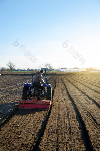 的拖拉机培养的土壤的农场场软化和改善土壤品质准备为切割行为的下一个播种季节的春天农业
