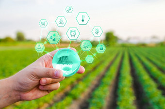 <strong>持有</strong>全球与创新农场场背景使用创新技术农业互联网的事情和行业数字化agroindustry和农业综合企业农业