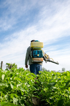 农民与雾喷雾器走通过农场场保护培养植物从昆虫和真菌感染使用化学物质为作物保护农业农业日益增长的蔬菜