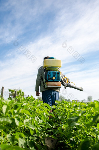 农民与雾喷雾器走通过农场场保护培养植物从昆虫和真菌感染使用化学物质为作物保护农业农业日益增长的蔬菜