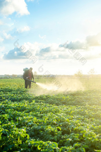 农民与雾喷雾器鼓风机流程的土豆种植园保护和哪使用工业化学物<strong>质保</strong>护作物从昆虫和真菌环境损害和化学污染