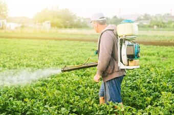 农民与雾喷雾器对待的土豆种植园从害虫和真菌感染使用化学物质<strong>农业农业</strong>和<strong>农业</strong>综合企业收获处理保护和哪