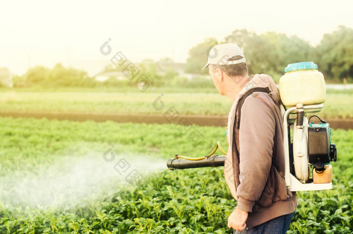 农民与雾喷雾器喷雾对待的土豆种植园从害虫和真菌感染农业和农业综合企业收获处理保护和哪使用化学物质农业