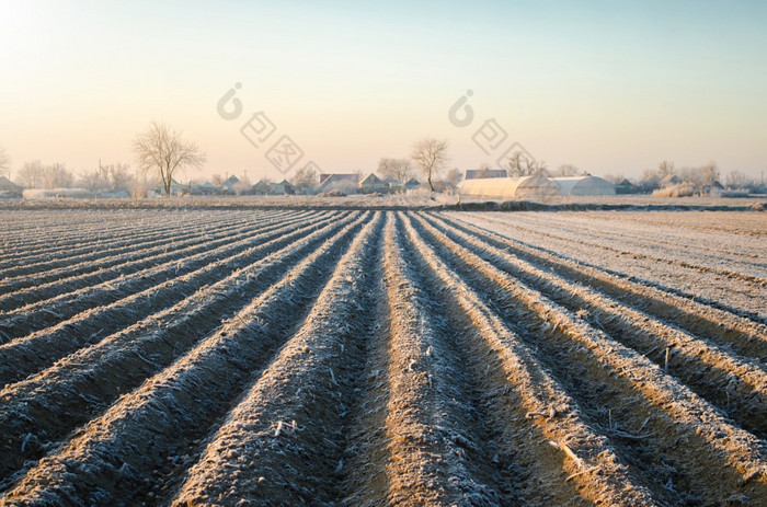 冬天农场场准备好了为新种植季节农业和农业综合企业选择正确的时间为播种字段植物种子保护从春天霜冻预备农业工作为春天