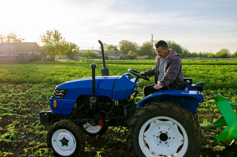 的农民作品的场与拖拉机收获土豆收获第一个土豆早期春天农业和农田农业行业和农业综合企业支持为农场