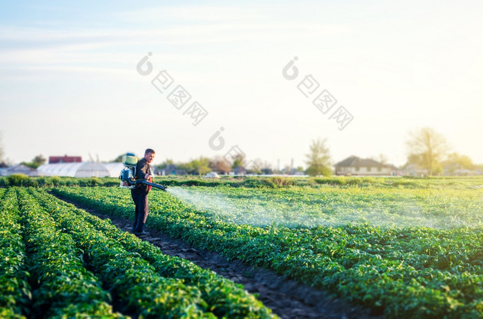 农民与雾喷雾器鼓风机流程的土豆种植园保护和哪环境损害和化学污染使用工业化学物质保护作物从昆虫和真菌