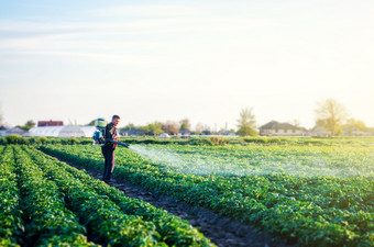 农民与雾喷雾器鼓风机流程的土豆种植园保护和哪环境损害和化学污染使用工业化学物<strong>质保</strong>护作物从昆虫和真菌