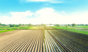农场场种植与农业植物日益增长的和生产食物农村农村浇水的作物农业行业农业综合企业农业欧洲农田传统的灌溉系统