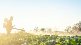 农民喷涂植物与农药的早期早....保护对昆虫和真菌感染的使用化学物质农业农业和农业综合企业农业行业
