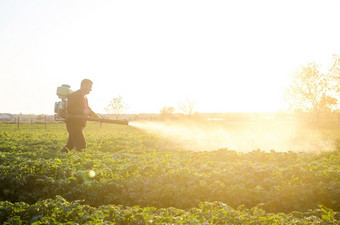 农民<strong>喷雾</strong>解决方案铜硫酸植物土豆灌木农业和农业综合企业农业行业战斗对真菌感染和昆虫使用化学物质农业