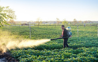 农民洒土豆种植园与抗真菌化学使用化学物质农业战斗对真菌感染和昆虫农业和农业综合企业农业行业