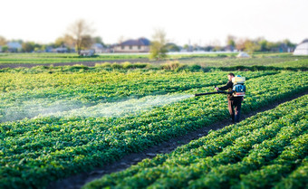 农民喷雾解决方案铜硫酸植物土豆灌木使用化学物质农业农业和农业综合企业农业行业战斗对真菌感染和昆虫