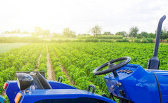 蓝色的拖拉机红辣椒胡椒种植园场农业和农业行业培养和哪植物农业设备和技术运输农民支持补贴
