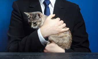 商人持有猫带你的宠物工作放松和抗应激爱为动物猫情人老板也普通的男人。动物福利监护权采用无家可归的人被遗弃的宠物