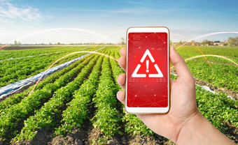 电话和警告标志的背景土豆种植园场的使用有害的<strong>农药</strong>和化学物质农业环境危害的存在塑料微粒的作物