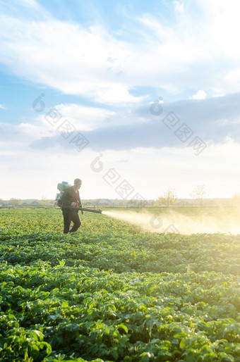 农民与雾喷雾器鼓风机<strong>流程</strong>的土豆种植园从害虫和真菌感染烟熏器雾化器使用化学物质农业农业和农业综合<strong>企业</strong>收获处理