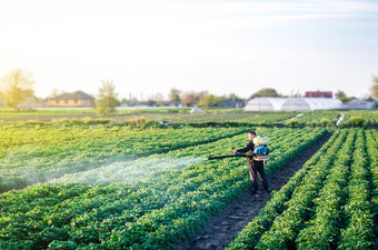 <strong>农民</strong>与雾喷雾器鼓风机流程的土豆种植园保护和哪烟熏器雾化器环境损害和化学污染使用工业化学物质保护作物