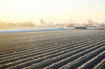 冬天农场场准备好了为新种植季节预备农业工作为春天选择正确的时间为播种字段植物种子保护从春天霜冻农业和农业综合企业