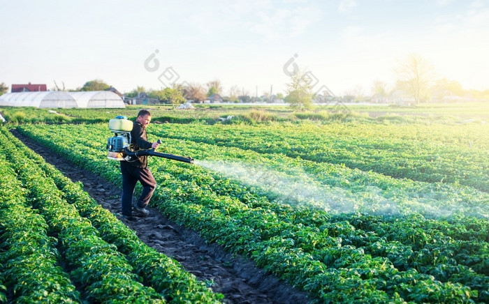 农民喷雾土豆种植园与农药保护对昆虫植物和真菌感染农业和农业综合企业农业行业的使用化学物质农业