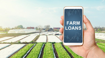 农民持有电话与农场贷款背景景观土豆种植园应对危机措施债务重组和恢复农业部门补贴金融农民支持