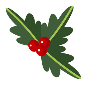冬青图标圣诞节的浆果假期装饰孤立的冬青图