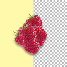 树莓孤立的透明的背景包设计元素