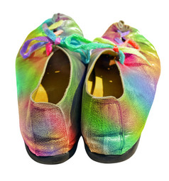 色彩斑斓的女士们鞋子与五彩缤纷的鞋带