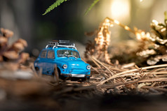 微型车与屋顶架森林