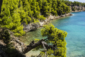 岩石海滩alonissos斯波拉得岛希腊