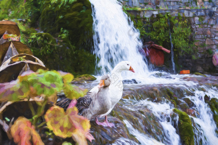 白色和灰色鸭子与橙色嘴下一个瀑布数字油漆白色和灰色鸭子与橙色嘴下一个瀑布
