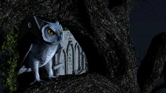 猫头鹰坐在不动树的蓝色的月光附近陵墓呈现猫头鹰坐在不动树的蓝色的月光附近陵墓