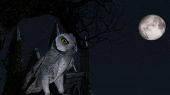 猫头鹰坐在不动树的蓝色的月光附近<strong>陵墓</strong>呈现猫头鹰坐在不动树的蓝色的月光附近<strong>陵墓</strong>