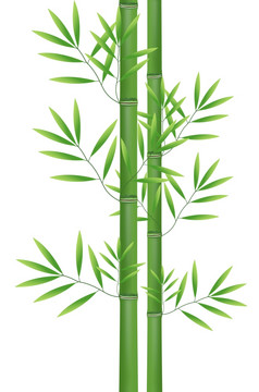 幸运的竹子嗯背景