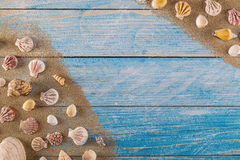夏天时间概念与海贝壳蓝色的木背景和沙子贝壳框架木背景航海边境焦点贝壳