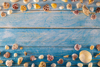 夏天时间概念与海贝壳蓝色的木背景贝壳框架木背景航海边境焦点贝壳