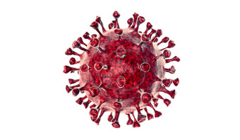 冠状病毒新冠病毒微观病毒电晕病毒疾病插图呈现病毒白色背景