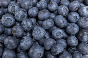 新鲜的<strong>蓝莓</strong>夏天多汁的水果为健康的饮食有机<strong>蓝莓</strong>为健康的食物和生活概念