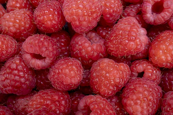 新鲜的<strong>树莓</strong>夏天多汁的水果为健康的饮食<strong>有机树莓</strong>为健康的食物和生活概念