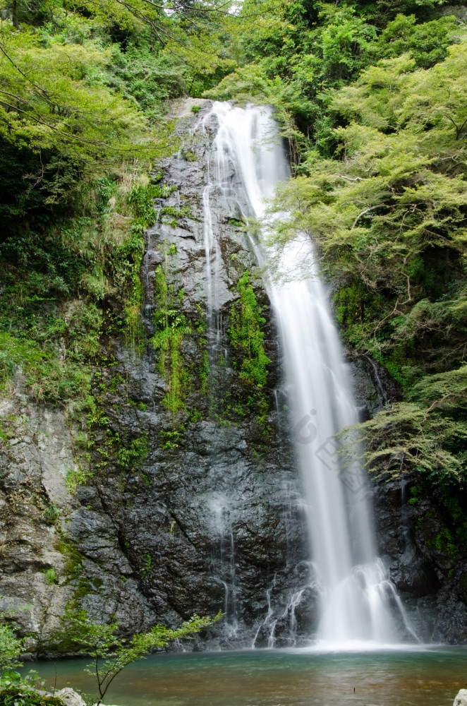 水秋天的需求量几乎国家公园日本水秋天的需求量几乎国家公园日本与绿色枫木树