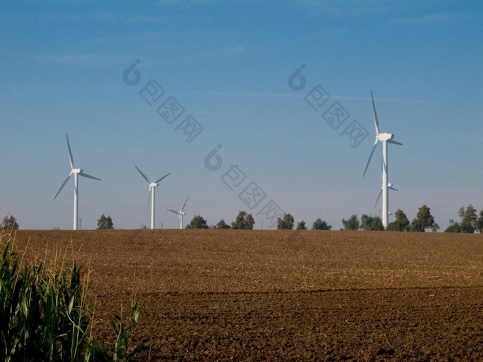 风涡轮机农田风涡轮机农田与新鲜的场的觅食