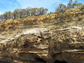 悬崖而且饱经风霜的砂岩悬崖与饱经风霜的砂岩前景而且树背景