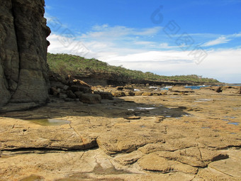 悬崖而且潮汐平台悬崖而且潮汐平台前景森林而且天空背景海岸澳大利亚