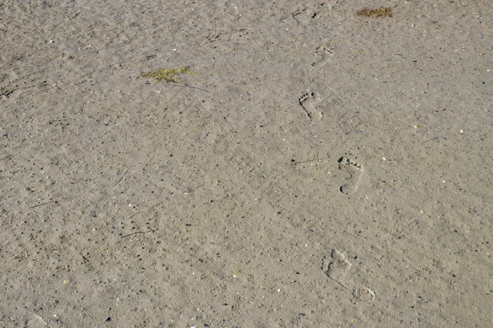 脚步泥泞的沙子脚步孩子泥泞的沙子与甚至表面